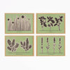 Herb Recipe Notecard Pack (x4) - Helen Round - Studio Wald