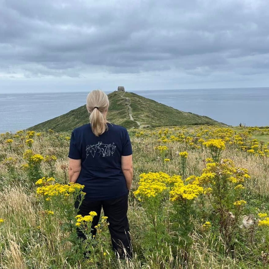 Rame head cornwall, hand printed rame head navy blue tshirt